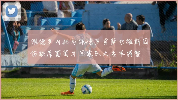 佩德罗内托与佩德罗贡萨尔维斯因伤缺席葡萄牙国家队大名单调整